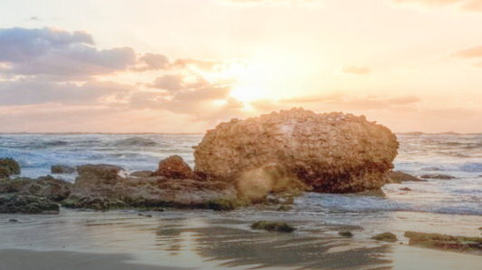 欧博ABG(中国)有限公司官网